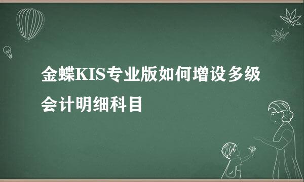 金蝶KIS专业版如何增设多级会计明细科目