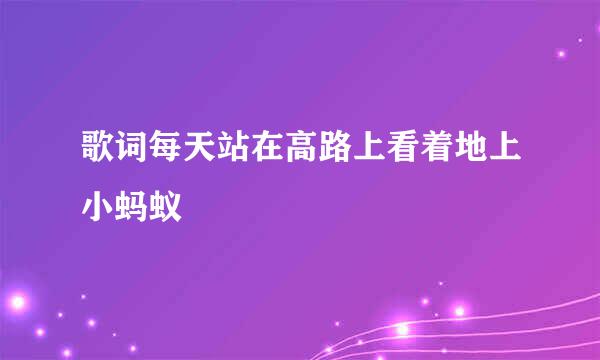 歌词每天站在高路上看着地上小蚂蚁