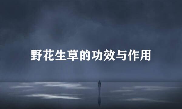 野花生草的功效与作用