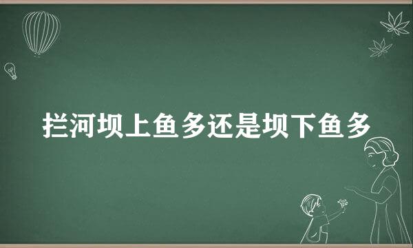 拦河坝上鱼多还是坝下鱼多