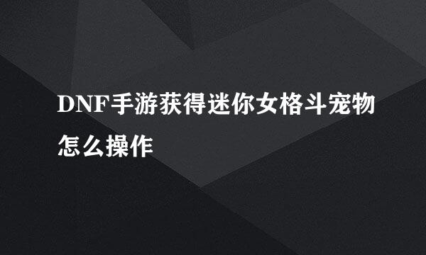 DNF手游获得迷你女格斗宠物怎么操作