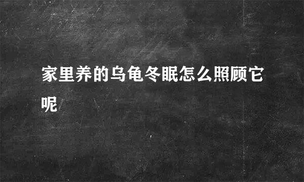 家里养的乌龟冬眠怎么照顾它呢
