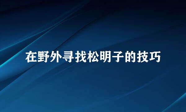 在野外寻找松明子的技巧