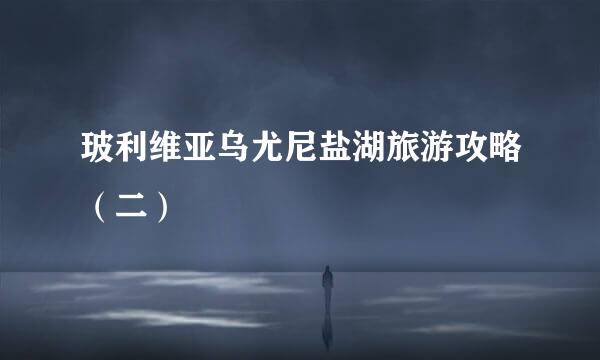 玻利维亚乌尤尼盐湖旅游攻略（二）