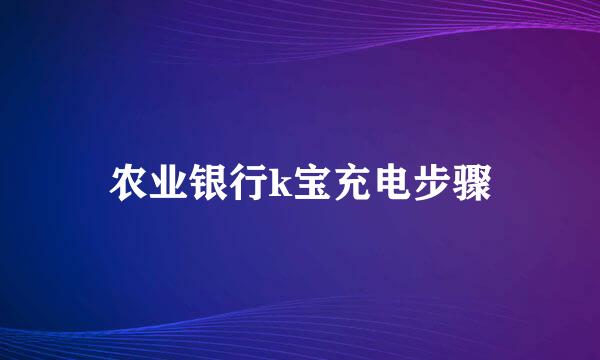 农业银行k宝充电步骤