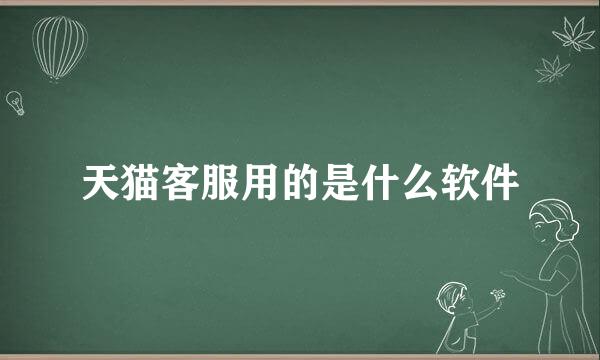 天猫客服用的是什么软件