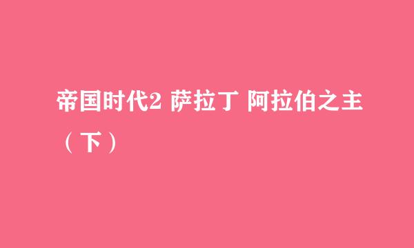帝国时代2 萨拉丁 阿拉伯之主（下）