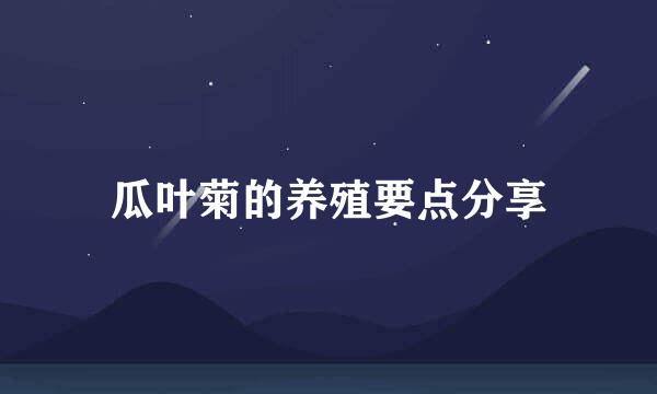 瓜叶菊的养殖要点分享