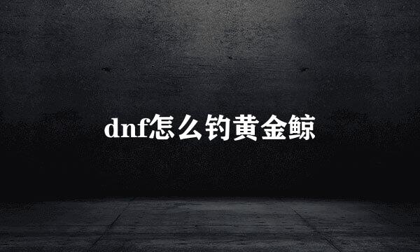 dnf怎么钓黄金鲸