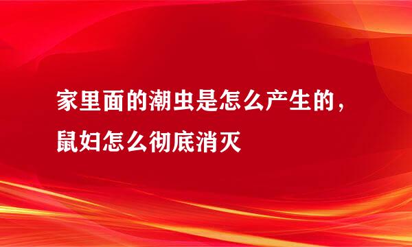 家里面的潮虫是怎么产生的，鼠妇怎么彻底消灭