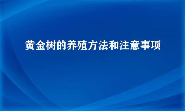 黄金树的养殖方法和注意事项