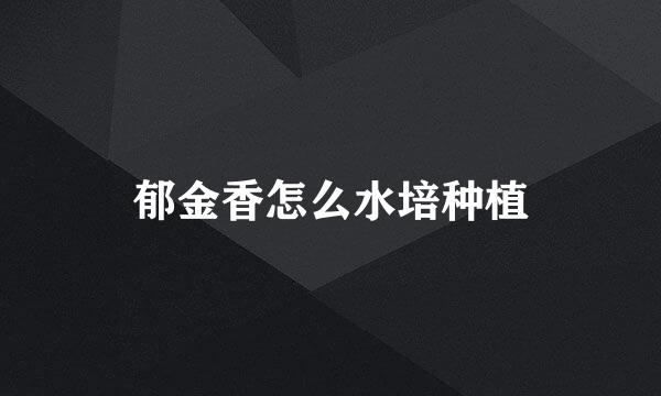 郁金香怎么水培种植