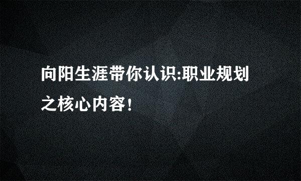 向阳生涯带你认识:职业规划之核心内容！