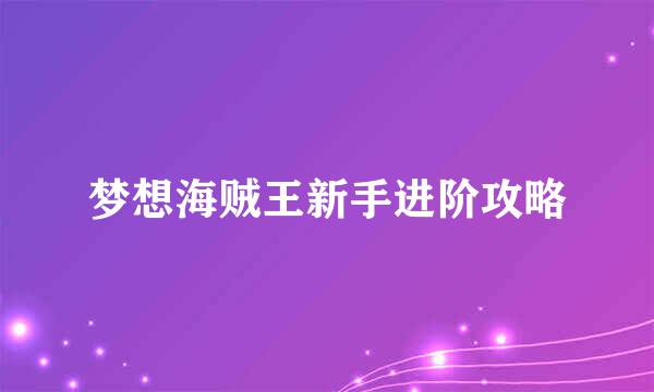 梦想海贼王新手进阶攻略