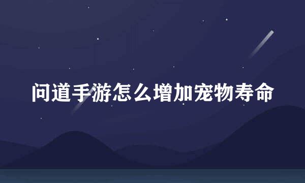 问道手游怎么增加宠物寿命