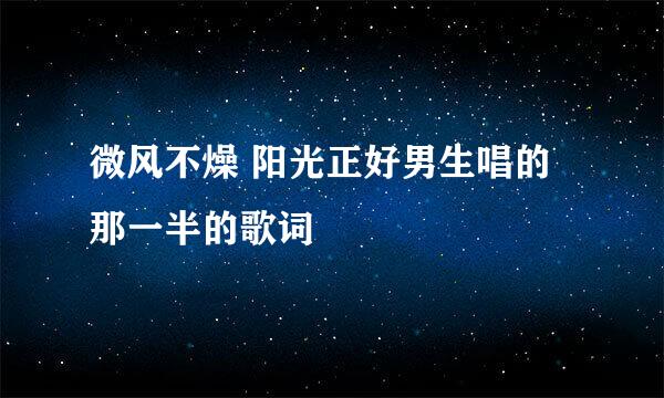 微风不燥 阳光正好男生唱的那一半的歌词