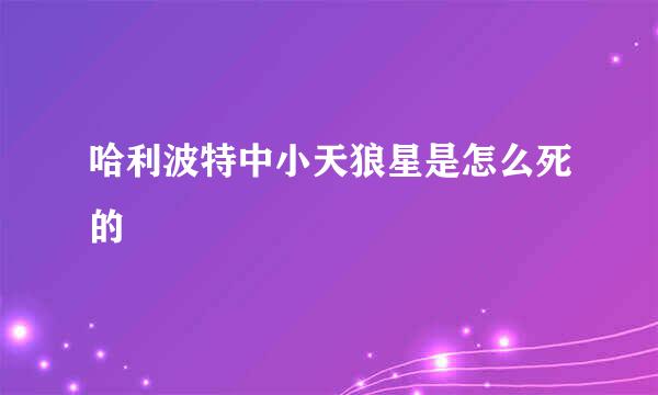哈利波特中小天狼星是怎么死的