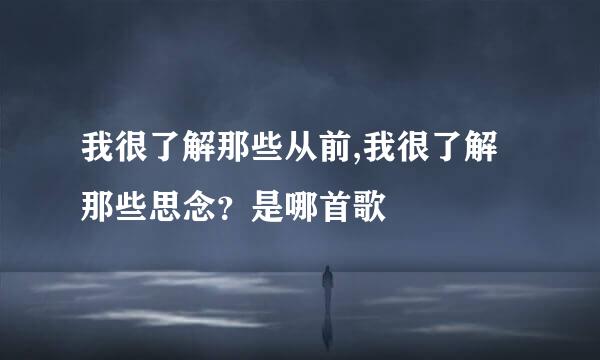 我很了解那些从前,我很了解那些思念？是哪首歌