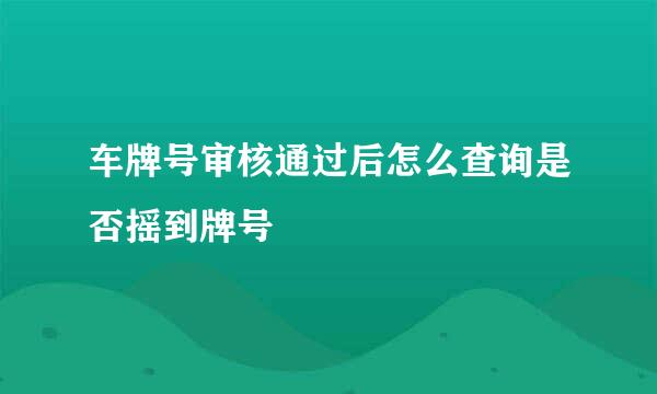 车牌号审核通过后怎么查询是否摇到牌号