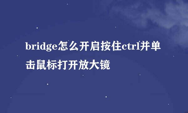 bridge怎么开启按住ctrl并单击鼠标打开放大镜
