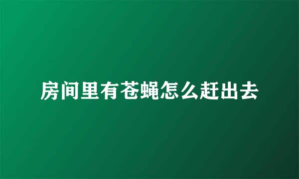 房间里有苍蝇怎么赶出去