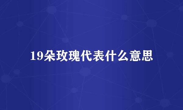 19朵玫瑰代表什么意思