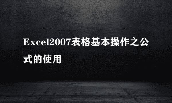 Excel2007表格基本操作之公式的使用