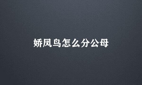 娇凤鸟怎么分公母