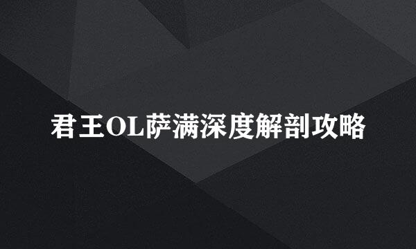 君王OL萨满深度解剖攻略