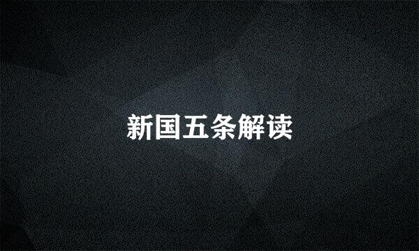 新国五条解读