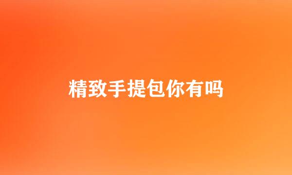 精致手提包你有吗