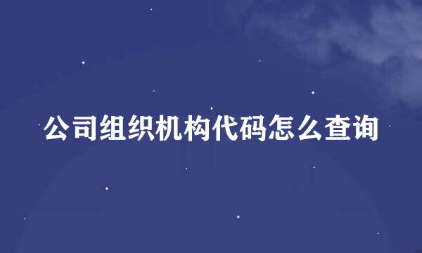 公司组织机构代码怎么查询