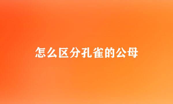 怎么区分孔雀的公母