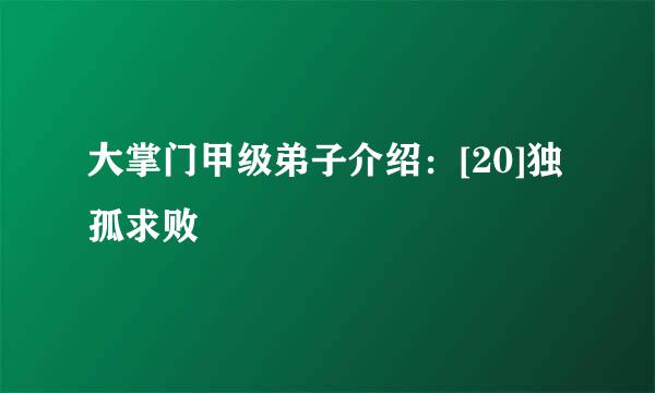 大掌门甲级弟子介绍：[20]独孤求败