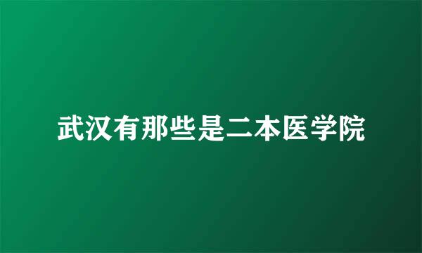 武汉有那些是二本医学院
