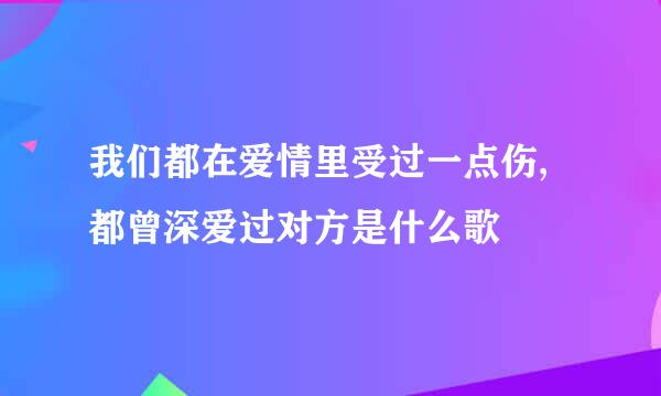 我们都在爱情里受过一点伤,都曾深爱过对方是什么歌