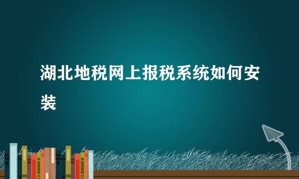 湖北地税网上报税系统如何安装