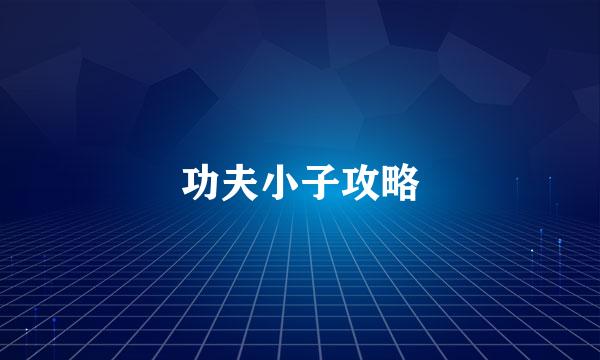 功夫小子攻略