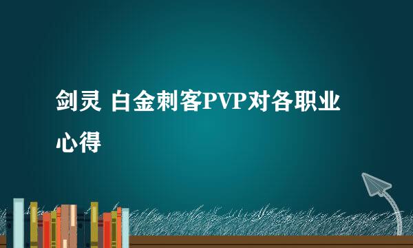 剑灵 白金刺客PVP对各职业心得