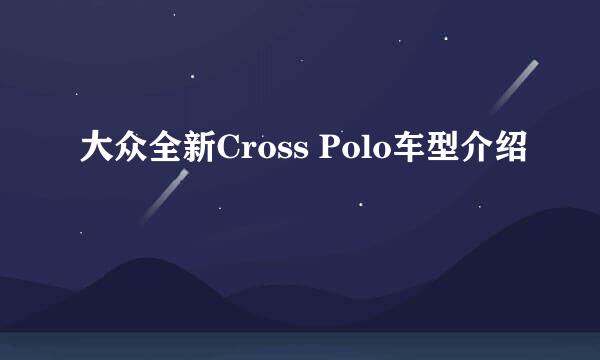 大众全新Cross Polo车型介绍
