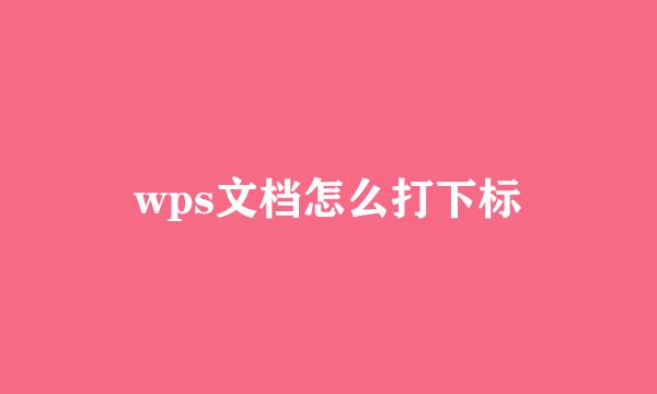 wps文档怎么打下标