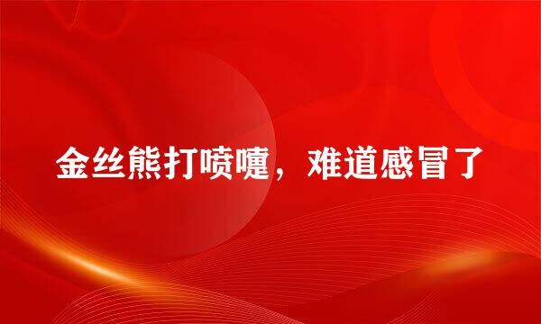 金丝熊打喷嚏，难道感冒了