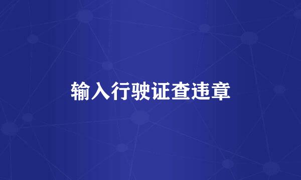 输入行驶证查违章
