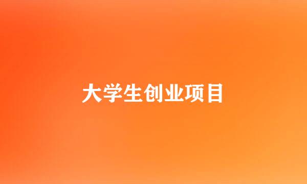 大学生创业项目