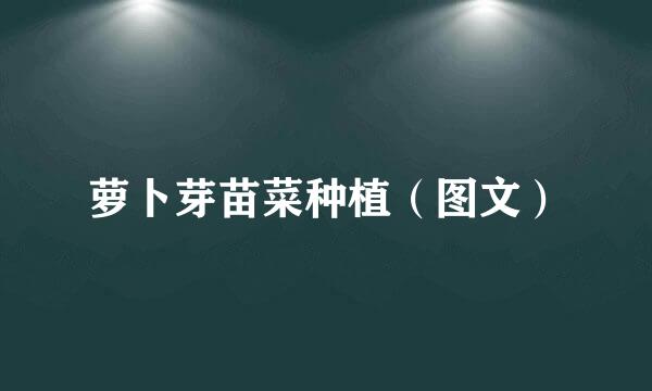 萝卜芽苗菜种植（图文）
