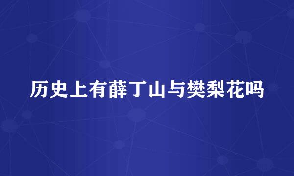 历史上有薛丁山与樊梨花吗