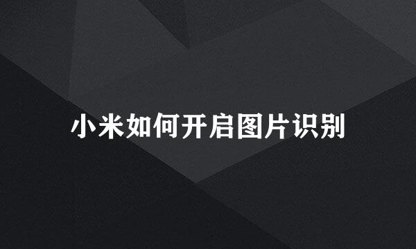 小米如何开启图片识别