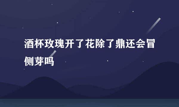 酒杯玫瑰开了花除了鼎还会冒侧芽吗