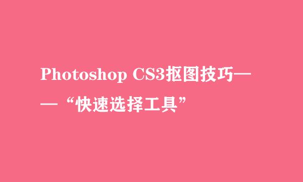 Photoshop CS3抠图技巧——“快速选择工具”