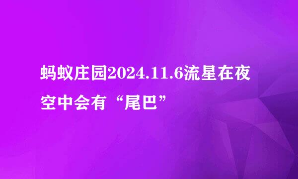 蚂蚁庄园2024.11.6流星在夜空中会有“尾巴”